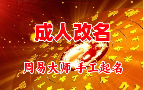 海南成人改名-找大师一对一改名先分析后改名